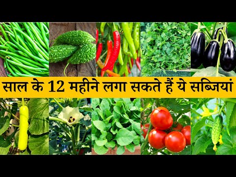 वीडियो: जोन 5 गार्डन के लिए सब्जियां: जोन 5 में सब्जियां उगाने के टिप्स