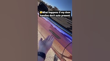 How Do You Open Model S Door handles if They Don