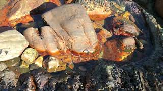 ROCK POOLS in GORDONS BAY in SOUTH AFRICA