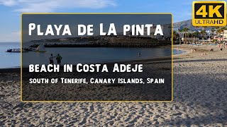 Playa La Pinta, Costa Adeje, Tenerife, Islas Canarias, España - Revisión en 4K