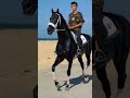 هيبة اللون خيل تبارك الله اكسبلور أحمد أبوكيل العراق سوريا مصر ليبيا Shortvideo Shorts 