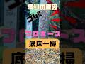 【水質改善】水槽の濁りが劇的に変わる底床と掃除 #shorts #水槽部屋 #水槽部屋 #aquarium #aquascape #メダカ #水槽台 #金魚