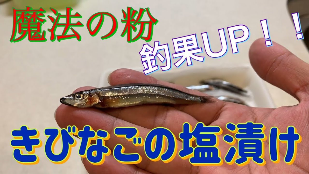 豆アジ餌 魔法の粉で明石海峡で太刀魚を攻略する餌はこれ アジの塩漬け Bean Mackerel Bait Salted Horse Mackerel Youtube