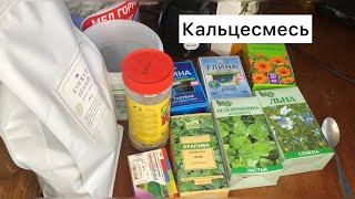 Кальций для улиток|Мой рецепт кальцесмеси|Ахатины и Архахатины