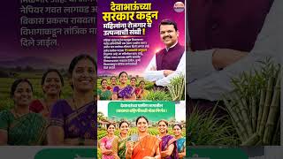 mukhyamantri Mazi Ladki Bahin Yojana Maharashtra |महिलांना पडीक जमिनी सोबतच ₹1 लाखांचे अनुदान