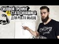 Статодинамика или Силовой тренинг для роста мышц