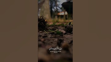 تلاوة هادئة تريح الاعصاب#سورة_النمل #اسلام_صبحي#قران_كريم#اكسبلور#تلاوات_خاشعة