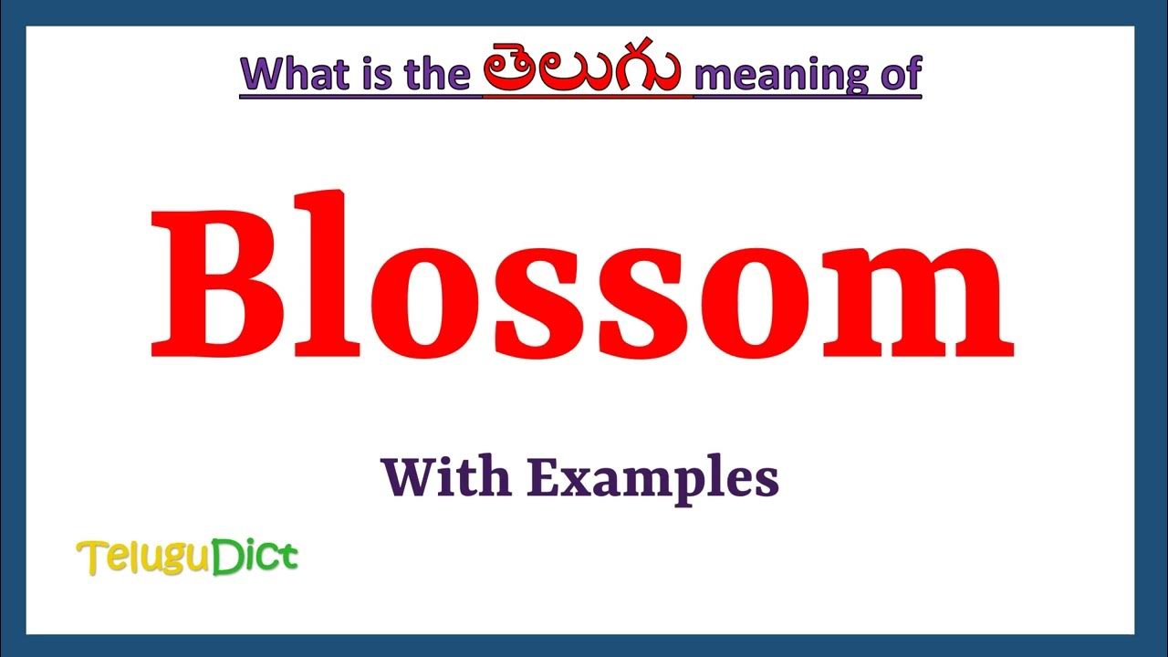 Blossom Meaning In Telugu Blossom In Telugu Blossom In Telugu blossom-meaning-in-telugu-blossom-in-telugu-blossom-in-telugu