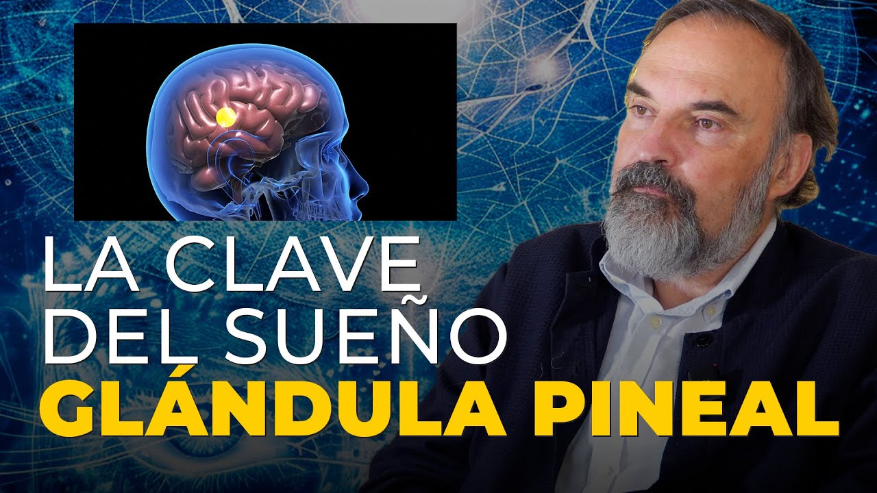 Sueño Reparador: Cómo la Glándula Pineal Influye en Tu Descanso