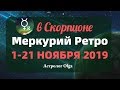 Еще один шанс! МЕРКУРИЙ ретро в СКОРПИОНЕ 1-21 ноября 2019. ГОРОСКОП. Астролог Olga