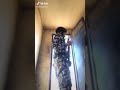 عسكري مصري يصور تيك توك أثناء الخدمه فلسطين بتولع عسكري مصري يصور تيك توك أثناء الخدمه فلسطين بتولع