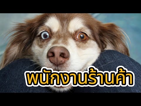 ผลสลากกินแบ่งรัฐบาล วันที่ 1 พย. 2567 ผลสลากกินแบ่งรัฐบาล วันที่ 1 พย. 2567