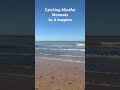 Create memories with nature. Mindfullness and Peace. #mindfulness #shorts #beach #yoga #nature
