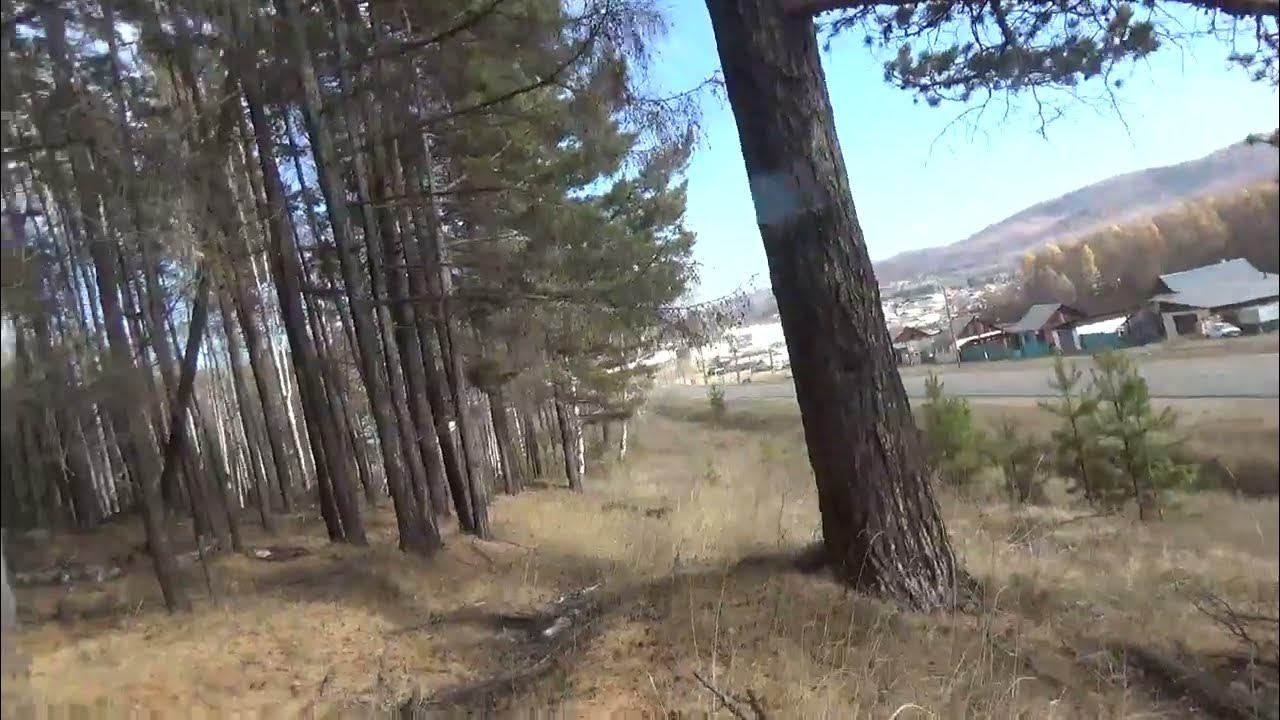 Деревня баляга забайкальский край. Забайкальская река газимур. Село тарбагатай бурятия. Горы петровск забайкальский. Забайкальский край, г.