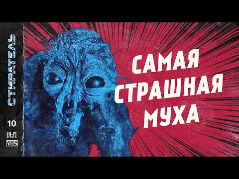 [СТИРАТЕЛЬ] #10 - МУХА Дэвида Кроненберга.