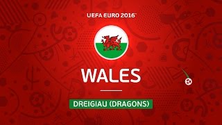 Wales at UEFA EURO 2016 in 30 seconds