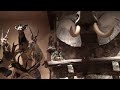 Crazy Hunting Trophy Room All kinds of mounts from around the world
