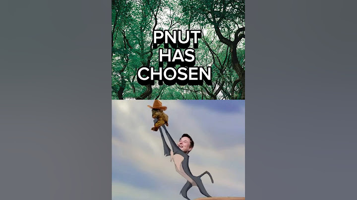 Elon Musk’s Shocking New Favorite Meme Coin Revealed?!