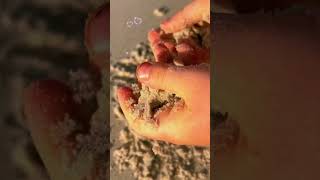 Beach Crunch #asmr #oddlysatisfying #beach #relaxing #soothing #asmrsounds #satisfying #asmrvideo