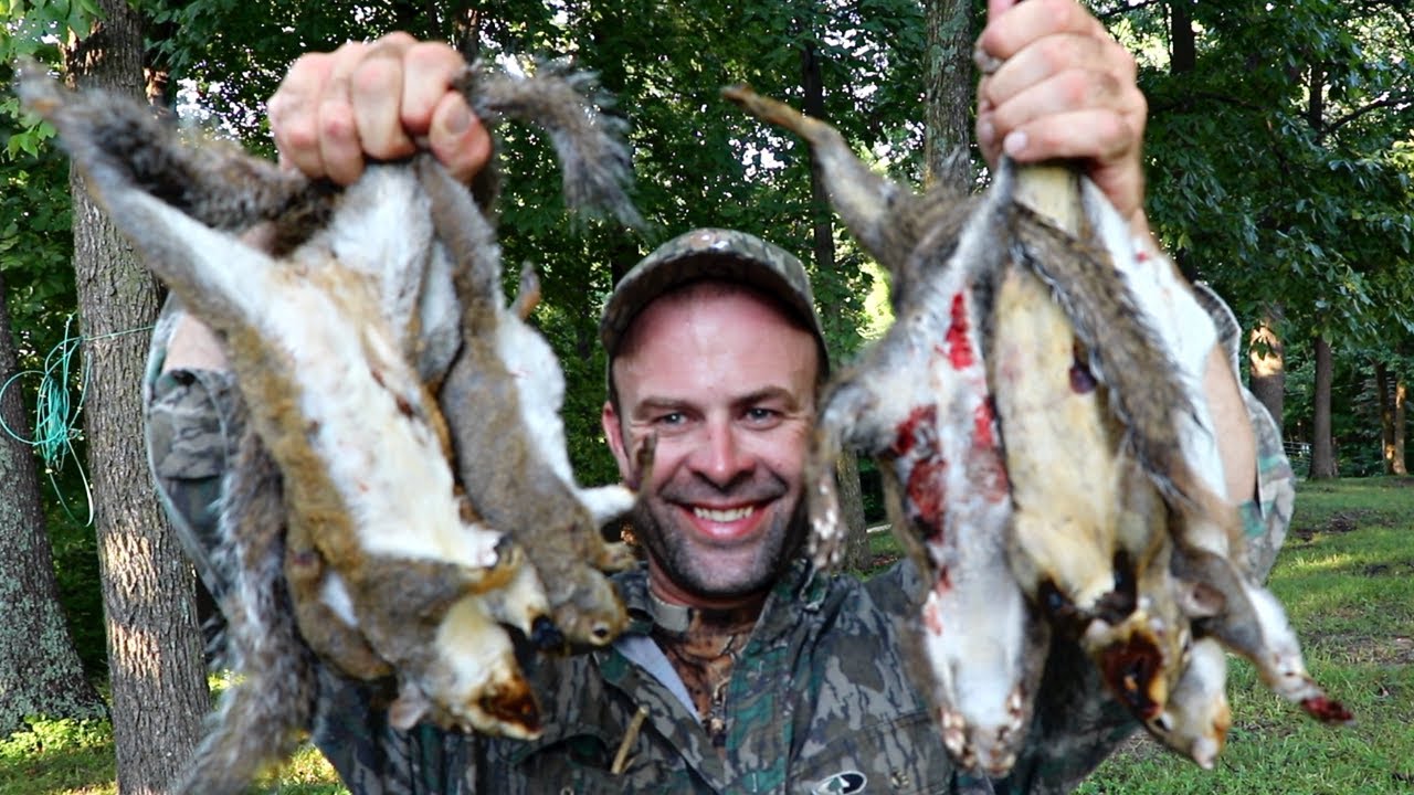 SQUIRREL HUNTING WITH A SHOTGUN! YouTube