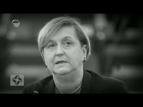 როგორ გამოეხმაურნენ ევროპარლამენტარების ნაწილი,ვანო მერაბიშვილის გათავისუფლებას