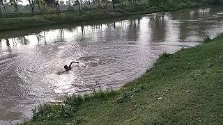 Desi Masti Mast Mein Nahate Hue Ka Maja Video Video Fun Video