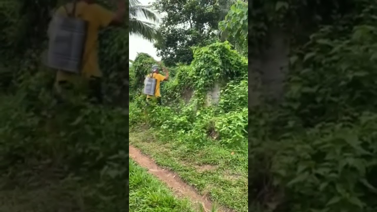 Easiest way to remove unwanted plants