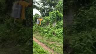 Easiest way to remove unwanted plants