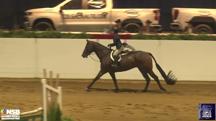 2021 Quarter Horse Congress Amateur Working Hunter...