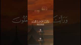 #shortvideo  Surah al Nasr beautiful voice by Hedi Hakim