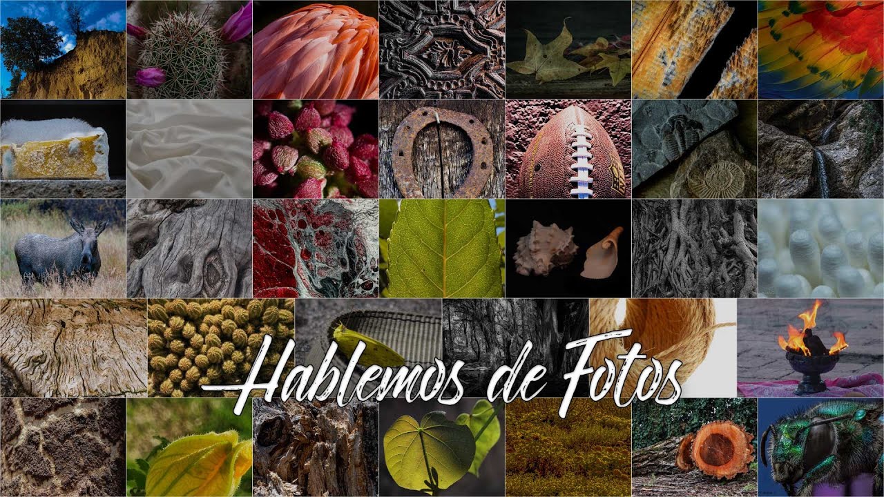 Texturas en fotografía. Tipos de texturas. - YouTube