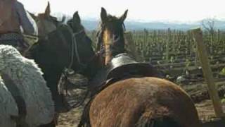 Oct 27 2008 - VID00016