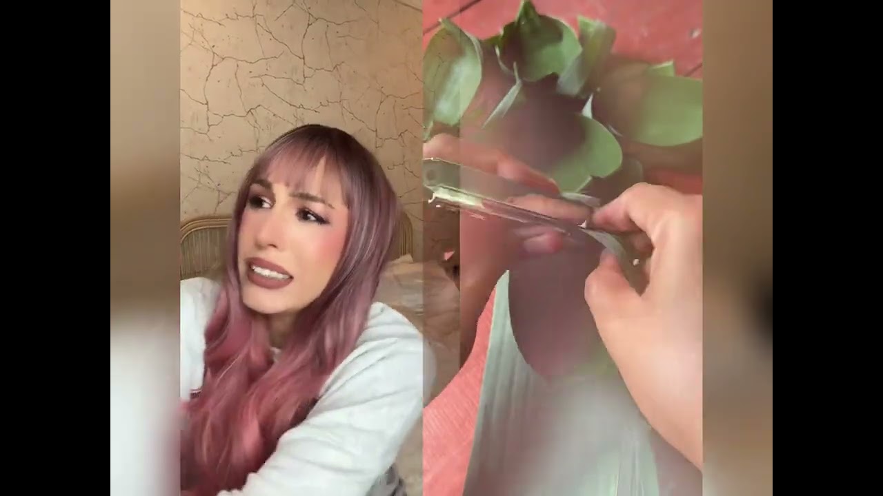 #POV Short Video Compilation: A Showcase of Brazilian Whacky Dramatic Life Moments