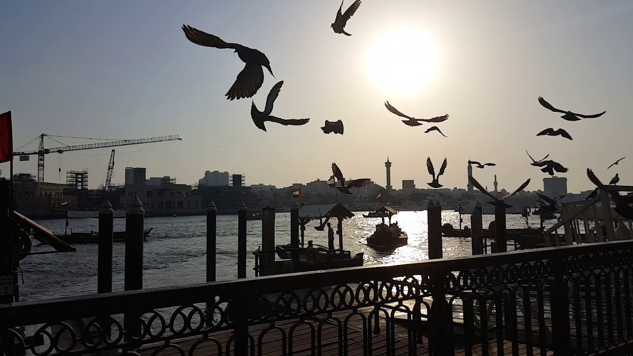 Dubai Creek Afternoon, Busy Abra (boat) Transportation Video HD