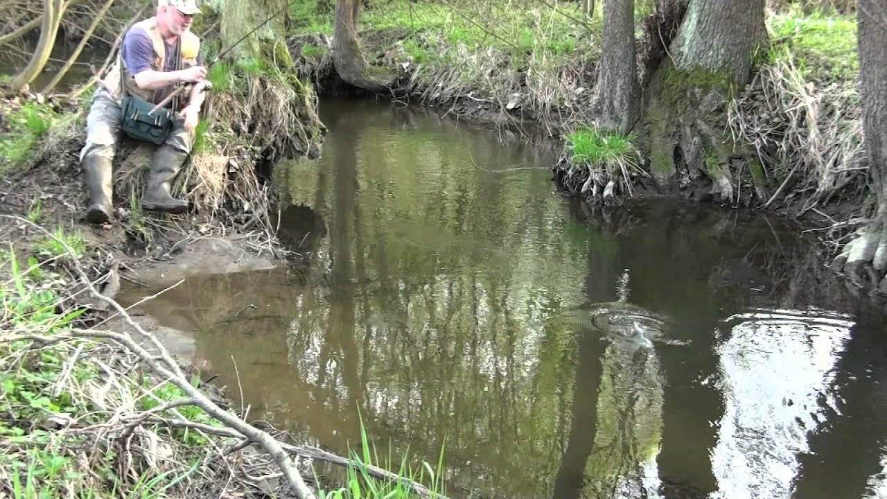 rippery a jedna Meppska