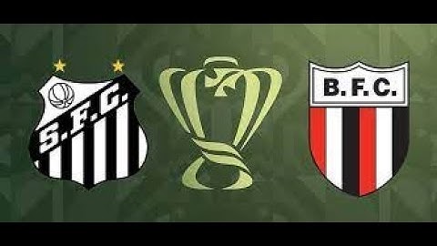 Veja os melhores momentos de Santos 1 x 0 Botafogo sp