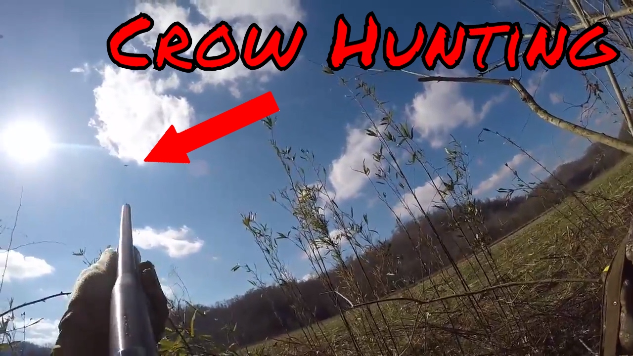 Crow Hunting 2017 YouTube