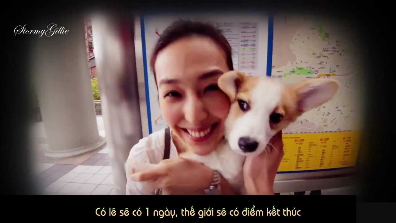 Video YouTube