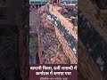 Unravel the secrets of the 6th century at Badami Fort : a stunning  Karnataka's rich heritage