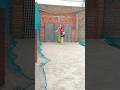 Best cover drive shot #shorts #cricket #viral #youtubeshorts #trending