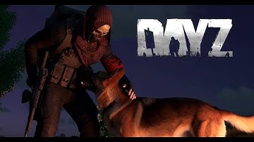 LIVE - DAYZ - WIPE HYPE XODUS- HEYBARMBY ORP