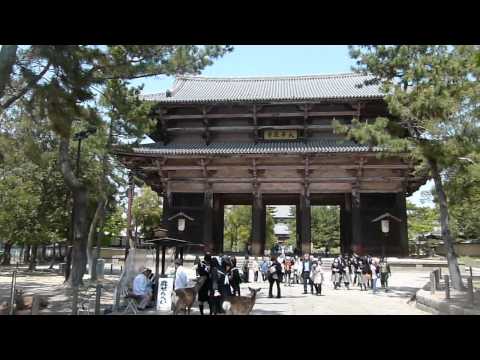 Video: Tempelj Todai-ji: Nekaj Zanimivih Dejstev