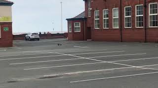 FTX Outlaw brushless 2S bash - New stability upgrades test