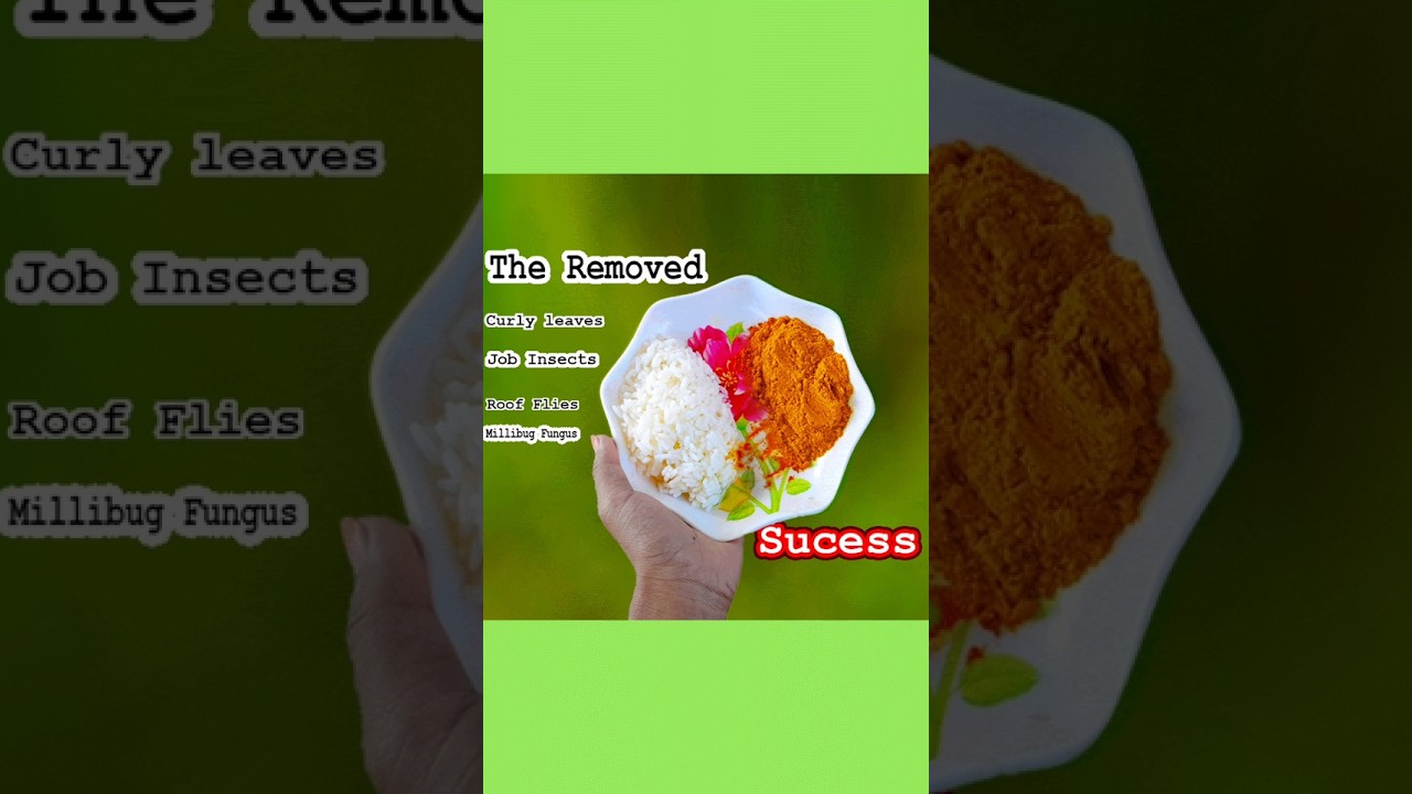 Simple way to making compost at home || Best method for home gardening