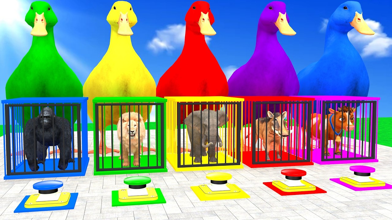 Long Slide Game With Cow Elephant Gorilla Hippopotamus Tiger 3d Animal Game Funny 3d Animals