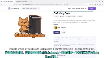 【Chia in China】How to Reissue CAT1 Tokens as CAT2 Tokens | Part 2 | Chia Network