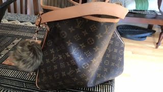 Louis Vuitton Delightful MM Mono