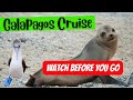 Galapagos island cruise  watch before you go