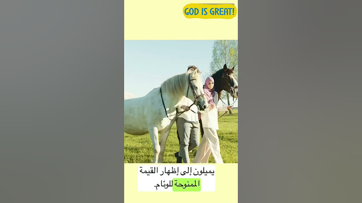 Islam Means Peace ⁉️Unveiling the Truth ❤️ الإسلام يعني السلام كشف الحقيقة  #fyp#reel #viral #short