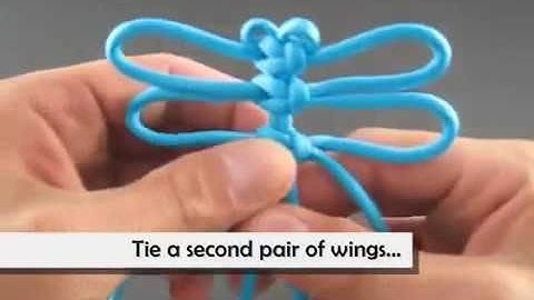 Video 8: TDDX Nút dây Con Chuồn Chuồn